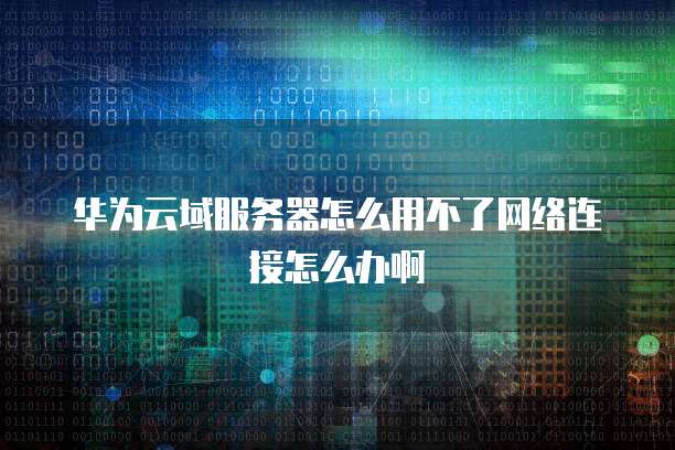 华为云域服务器怎么用不了网络连接怎么办啊