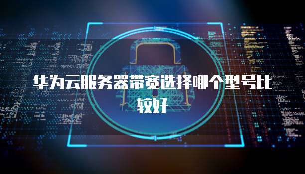 华为云服务器带宽选择哪个型号比较好