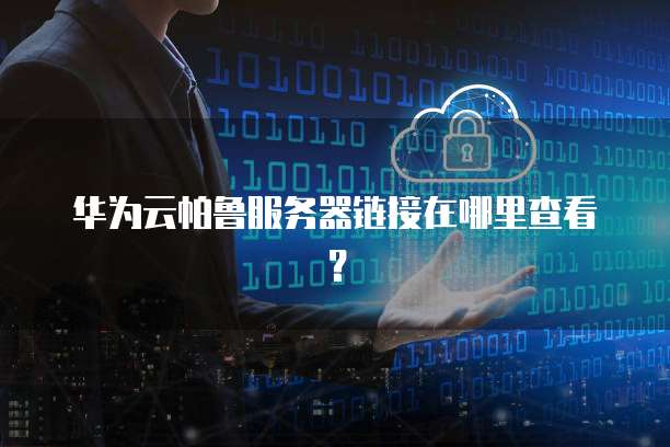 华为云帕鲁服务器链接在哪里查看?