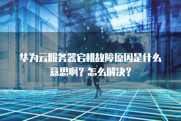 华为云服务器安全合作商是什么公司类型的企业