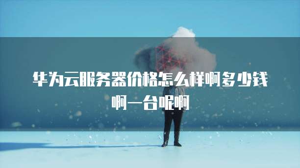 华为云服务器价格怎么样啊多少钱啊一台呢啊