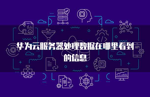 华为云服务器处理数据在哪里看到的信息