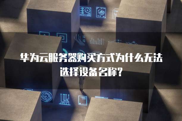 华为云服务器购买方式为什么无法选择设备名称?