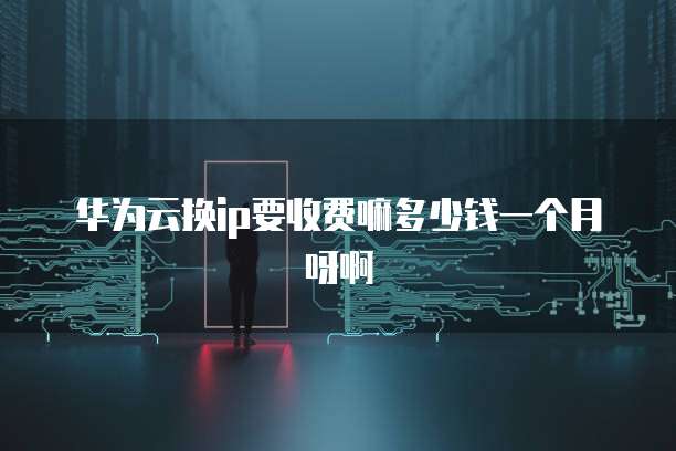 华为云换ip要收费嘛多少钱一个月呀啊