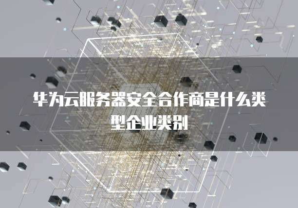 华为云服务器安全合作商是什么类型企业类别