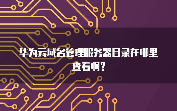 华为云域名管理服务器目录在哪里查看啊?