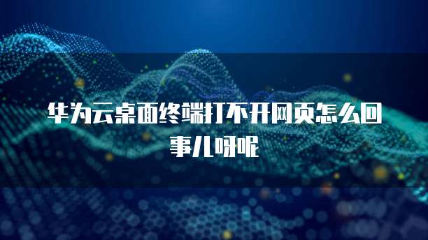 华为云桌面终端打不开网页怎么回事儿呀呢