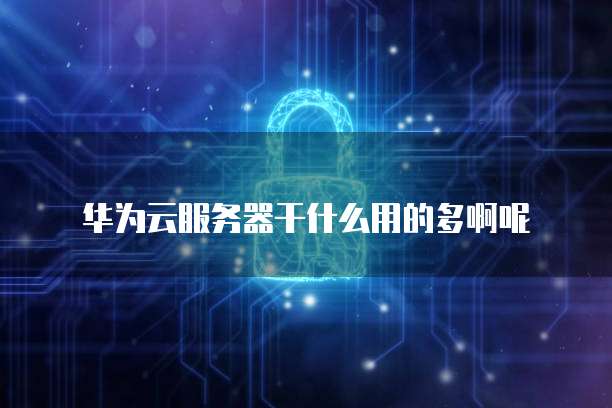 华为云服务器干什么用的多啊呢