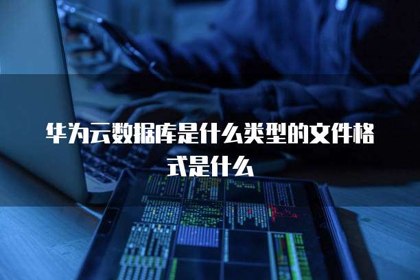 华为云数据库是什么类型的文件格式是什么
