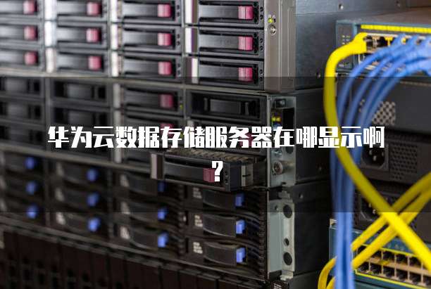 华为云数据存储服务器在哪显示啊?