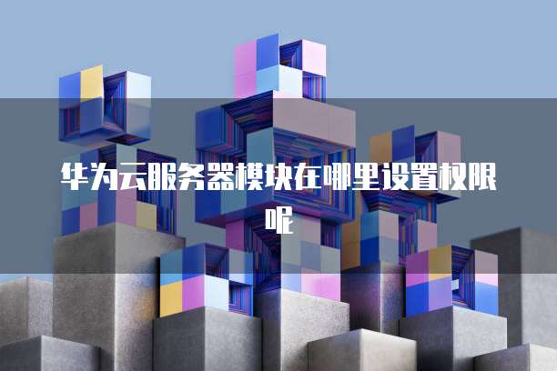 华为云服务器模块在哪里设置权限呢