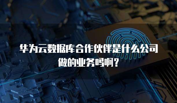 华为云数据库合作伙伴是什么公司做的业务吗啊?