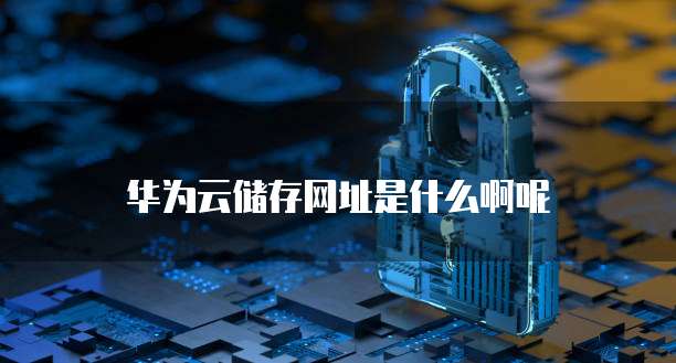 华为云储存网址是什么啊呢