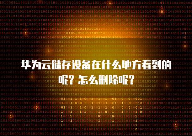 华为云储存设备在什么地方看到的呢?怎么删除呢?
