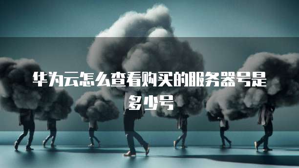 华为云怎么查看购买的服务器号是多少号