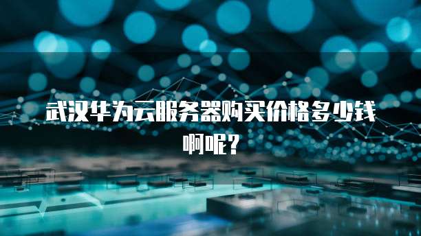 武汉华为云服务器购买价格多少钱啊呢？