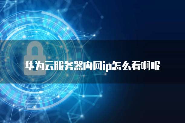 华为云服务器内网ip怎么看啊呢