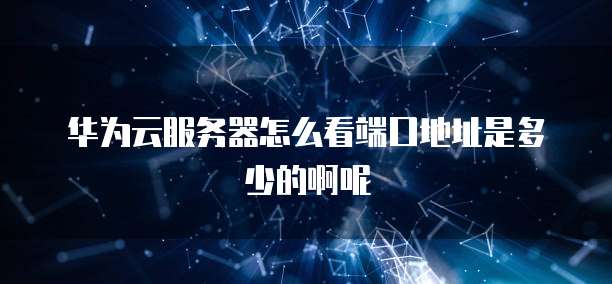 华为云服务器怎么看端口地址是多少的啊呢