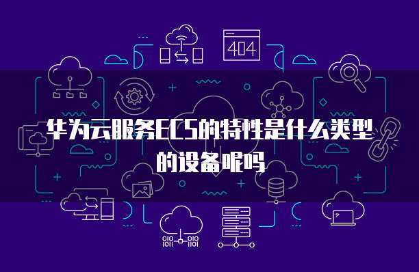 华为云服务ECS的特性是什么类型的设备呢吗