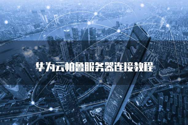 华为云帕鲁服务器连接教程