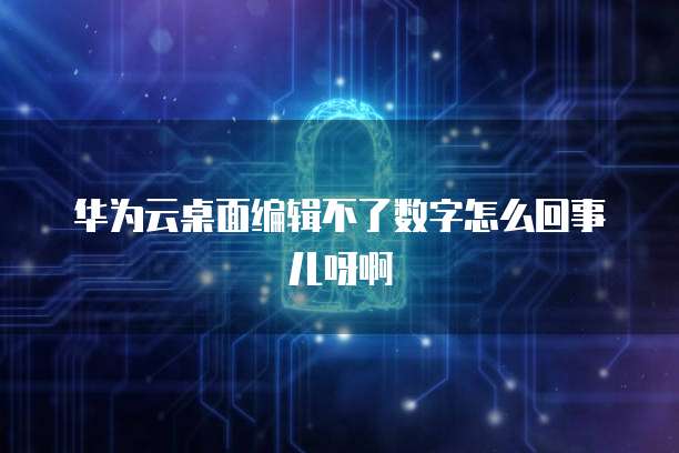 华为云桌面编辑不了数字怎么回事儿呀啊