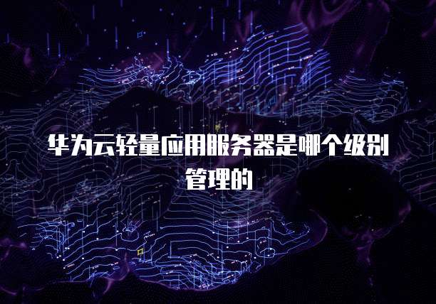 华为云轻量应用服务器是哪个级别管理的