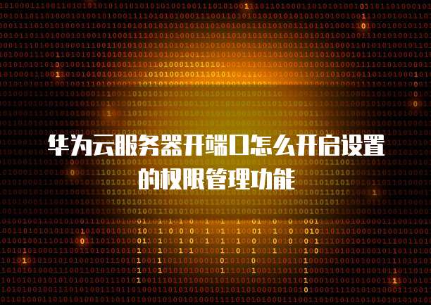 华为云服务器开端口怎么开启设置的权限管理功能