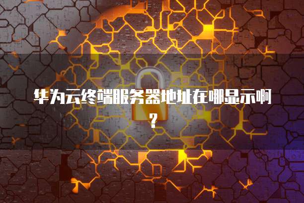 华为云终端服务器地址在哪显示啊?
