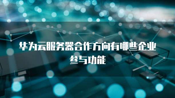 华为云服务器合作方向有哪些企业参与功能