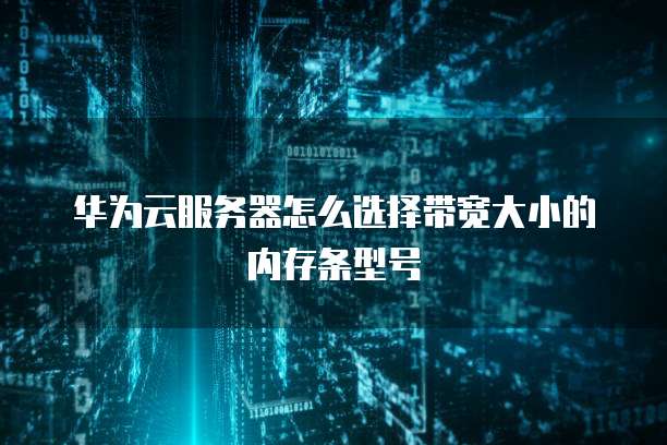 华为云服务器怎么选择带宽大小的内存条型号
