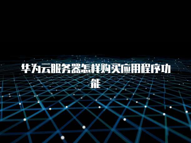 华为云服务器怎样购买应用程序功能