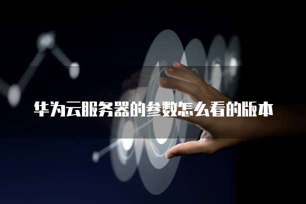 华为云服务器的参数怎么看的版本