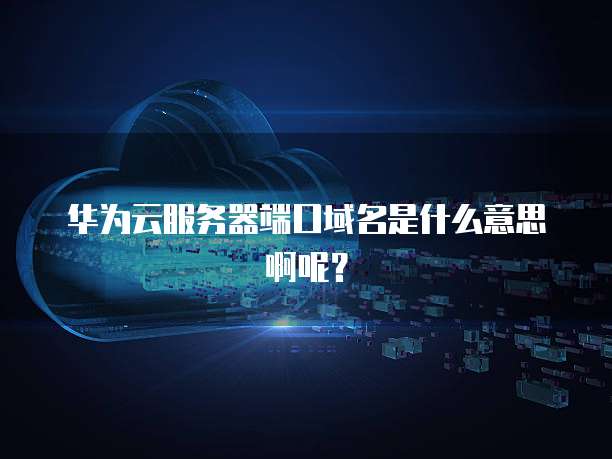 华为云服务器端口域名是什么意思啊呢?