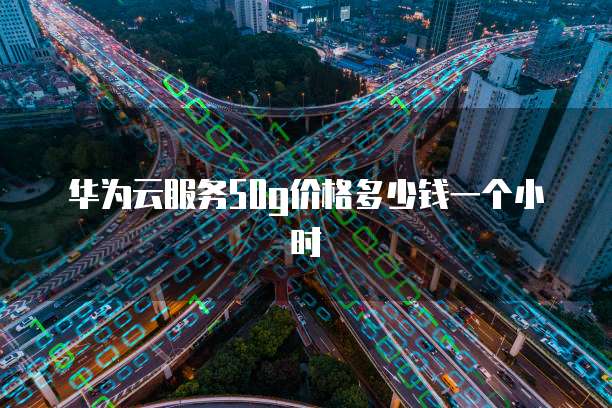 华为云服务50g价格多少钱一个小时