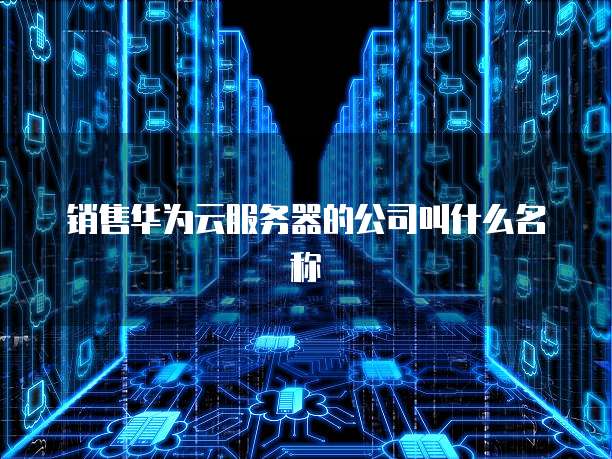 销售华为云服务器的公司叫什么名称