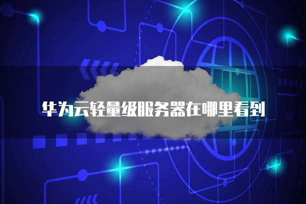 华为云轻量级服务器在哪里看到