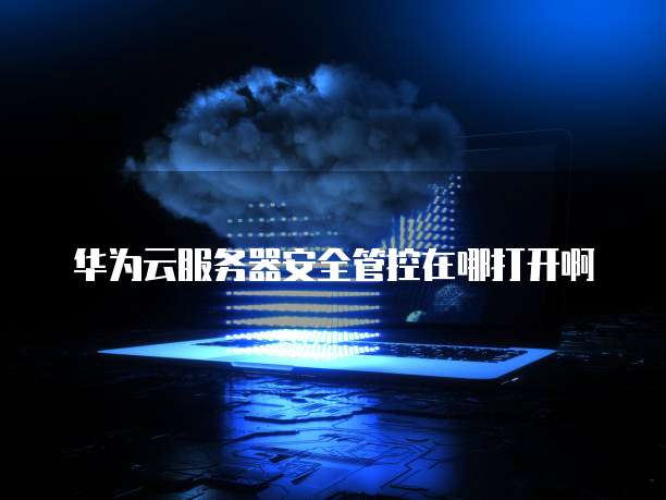 华为云服务器安全管控在哪打开啊