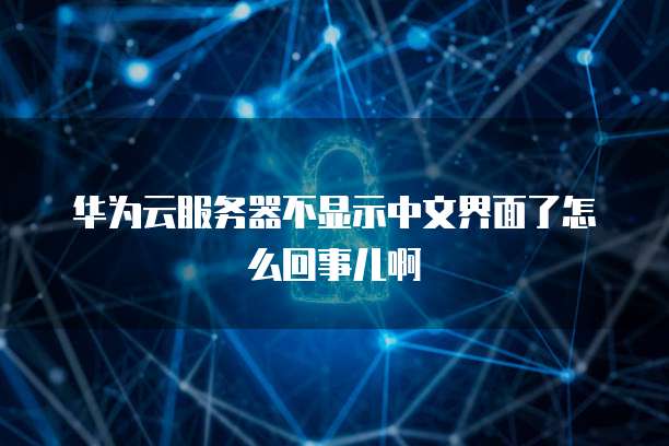 华为云服务器不显示中文界面了怎么回事儿啊
