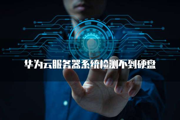 华为云服务器系统检测不到硬盘