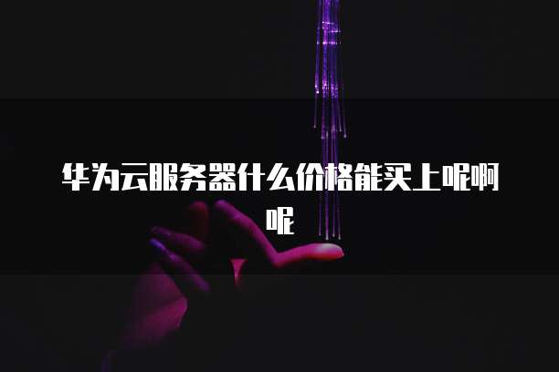 华为云服务器什么价格能买上呢啊呢