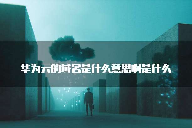 华为云的域名是什么意思啊是什么