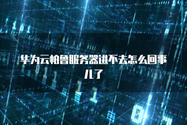华为云帕鲁服务器进不去怎么回事儿了