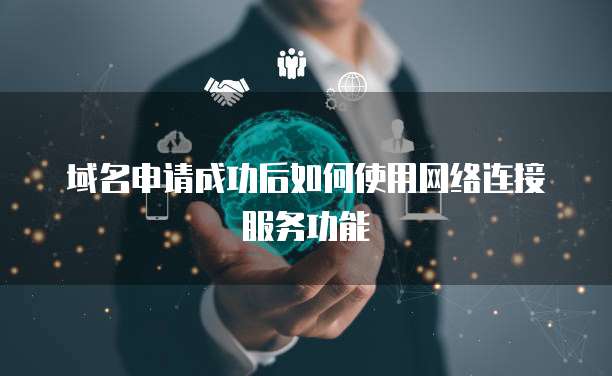 域名申请成功后如何使用网络连接服务功能
