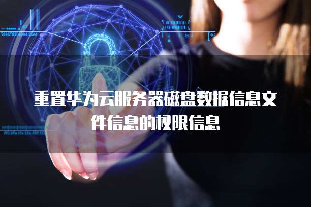 重置华为云服务器磁盘数据信息文件信息的权限信息