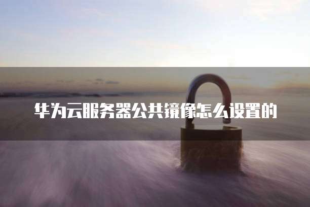华为云服务器公共镜像怎么设置的