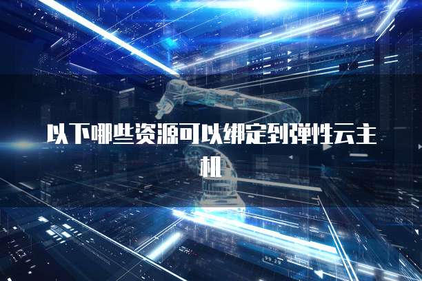 以下哪些资源可以绑定到弹性云主机