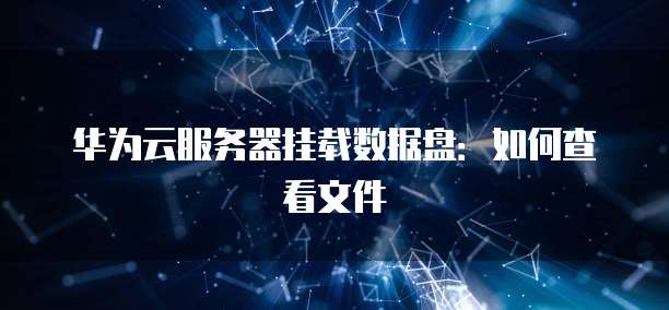 华为云服务器挂载数据盘:如何查看文件