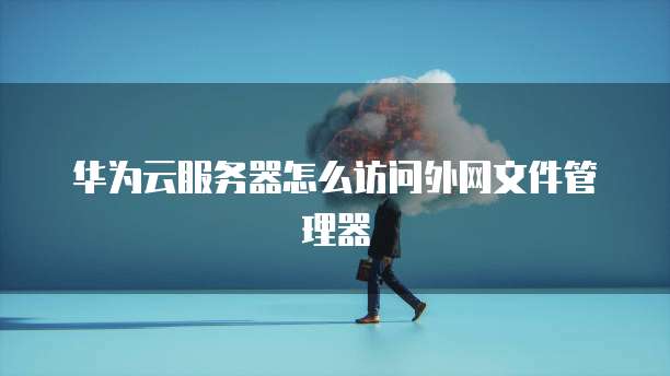 华为云服务器怎么访问外网文件管理器