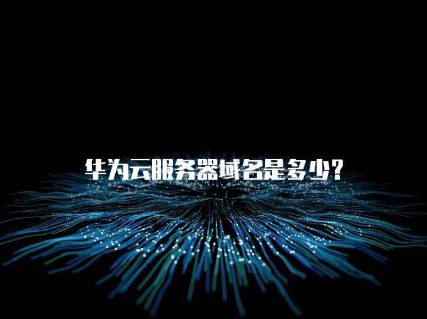 华为云服务器域名是多少？
