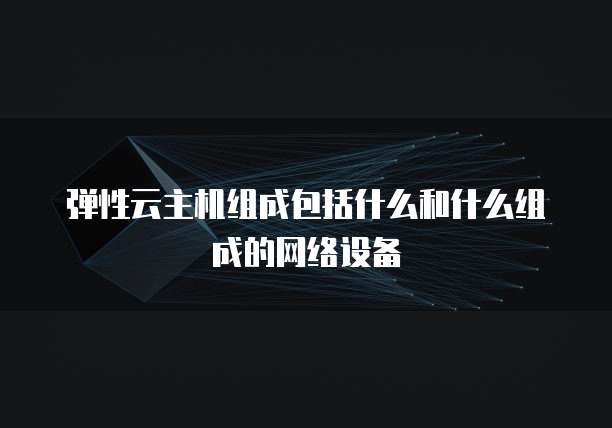 弹性云主机组成包括什么和什么组成的网络设备